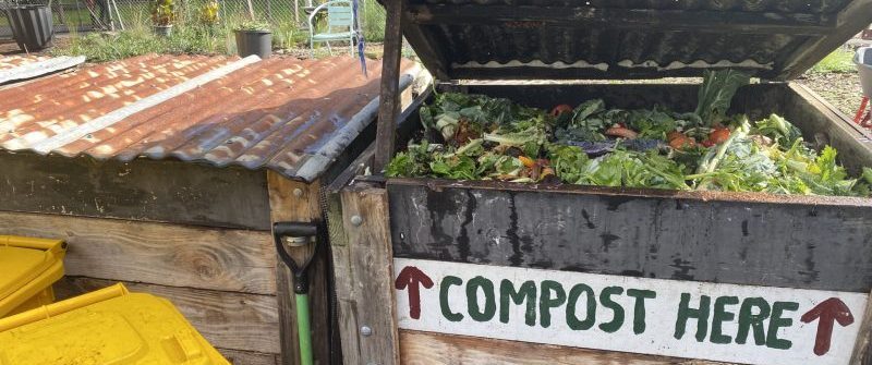November Compost Hub Working Bee